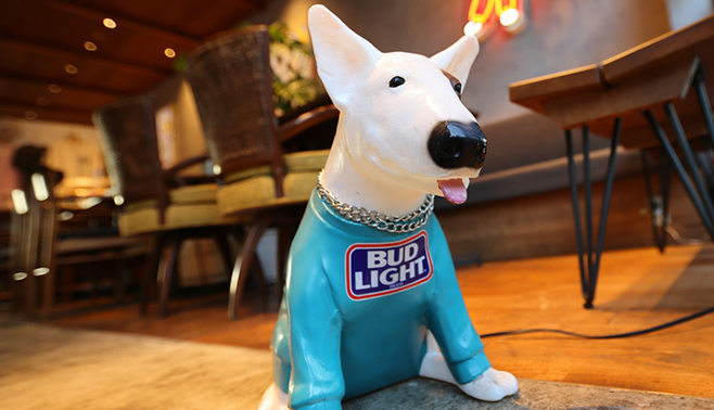 店内でワンちゃんとお食事も